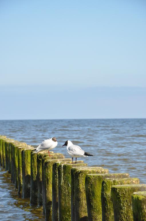 Seetelhotel Nautic Usedom Hotel & Spa Koserow المظهر الخارجي الصورة